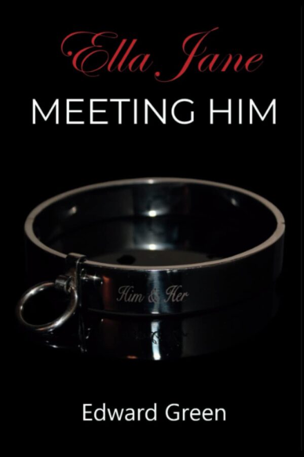 Meeting Him: Ella Jane Book One (Him and Her - The Ella Jane stories)